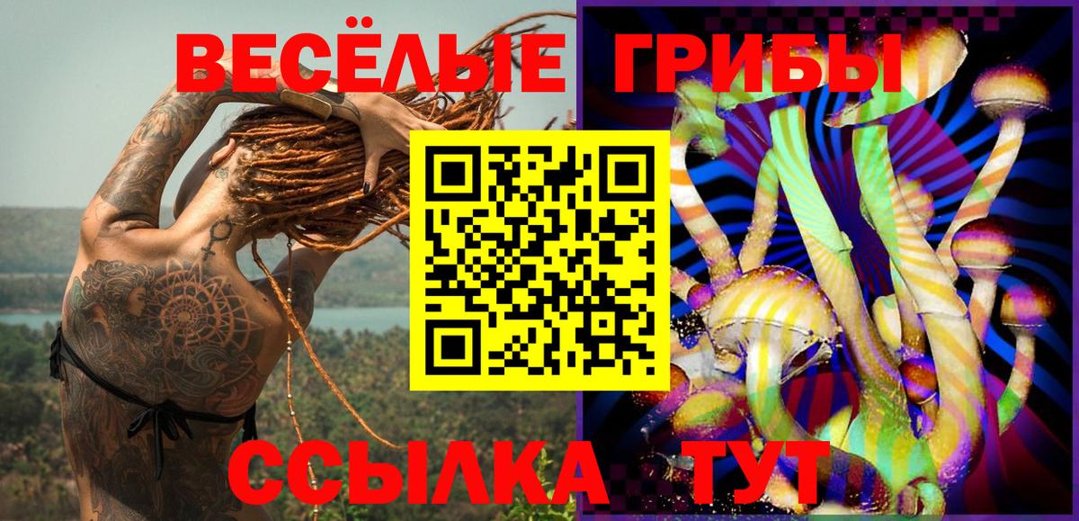 Псилоцибиновые грибы мухоморы Фролово