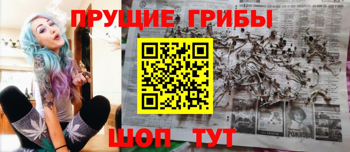 Галлюциногенные грибы Cubensis  Вход с VPN  Фролово 