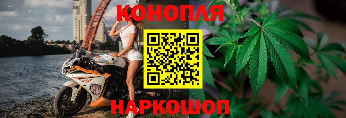 Марихуана сатива Фролово